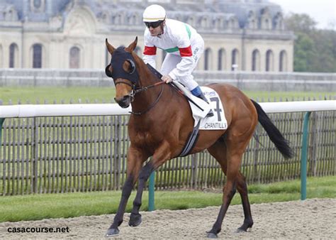 milliard turf blogspot|EXPERT DU TURF.
